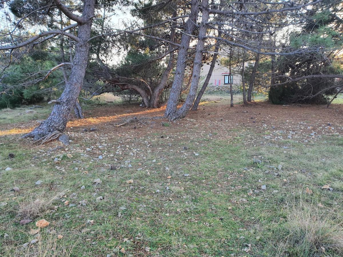 Apartmani Bellevue Vir Εξωτερικό φωτογραφία