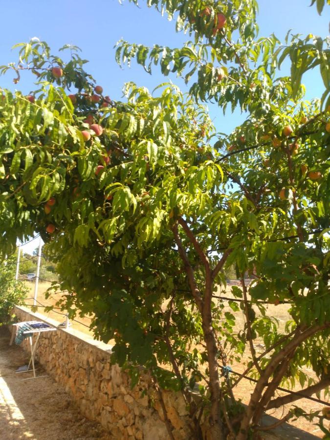 Apartmani Bellevue Vir Εξωτερικό φωτογραφία