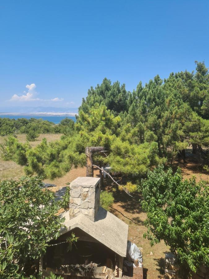 Apartmani Bellevue Vir Εξωτερικό φωτογραφία